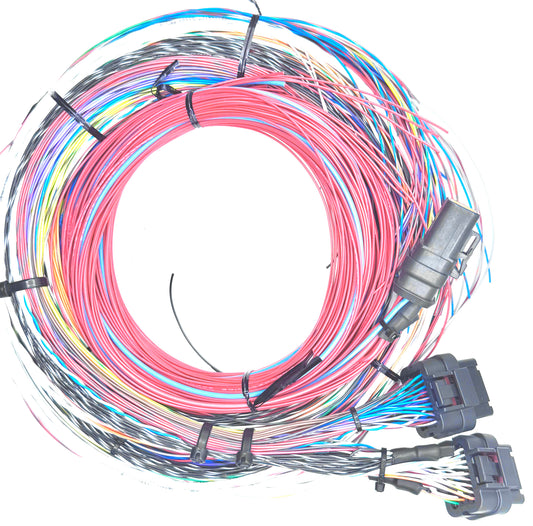 Nexus R3 Starter Harness